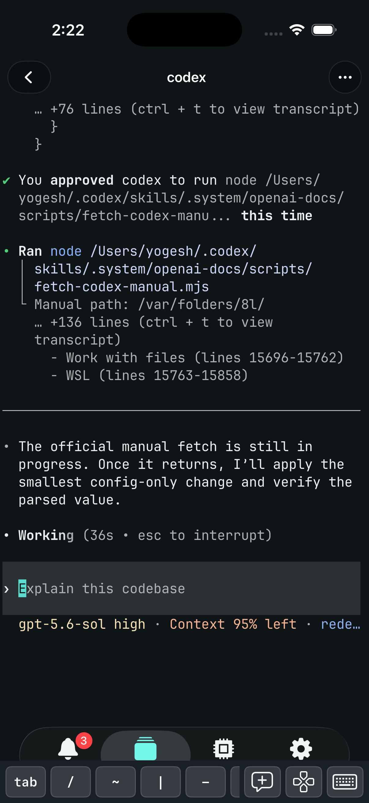 A live coding-agent terminal session open in the Spaces iOS app, with a terminal key row for typing into the same shell