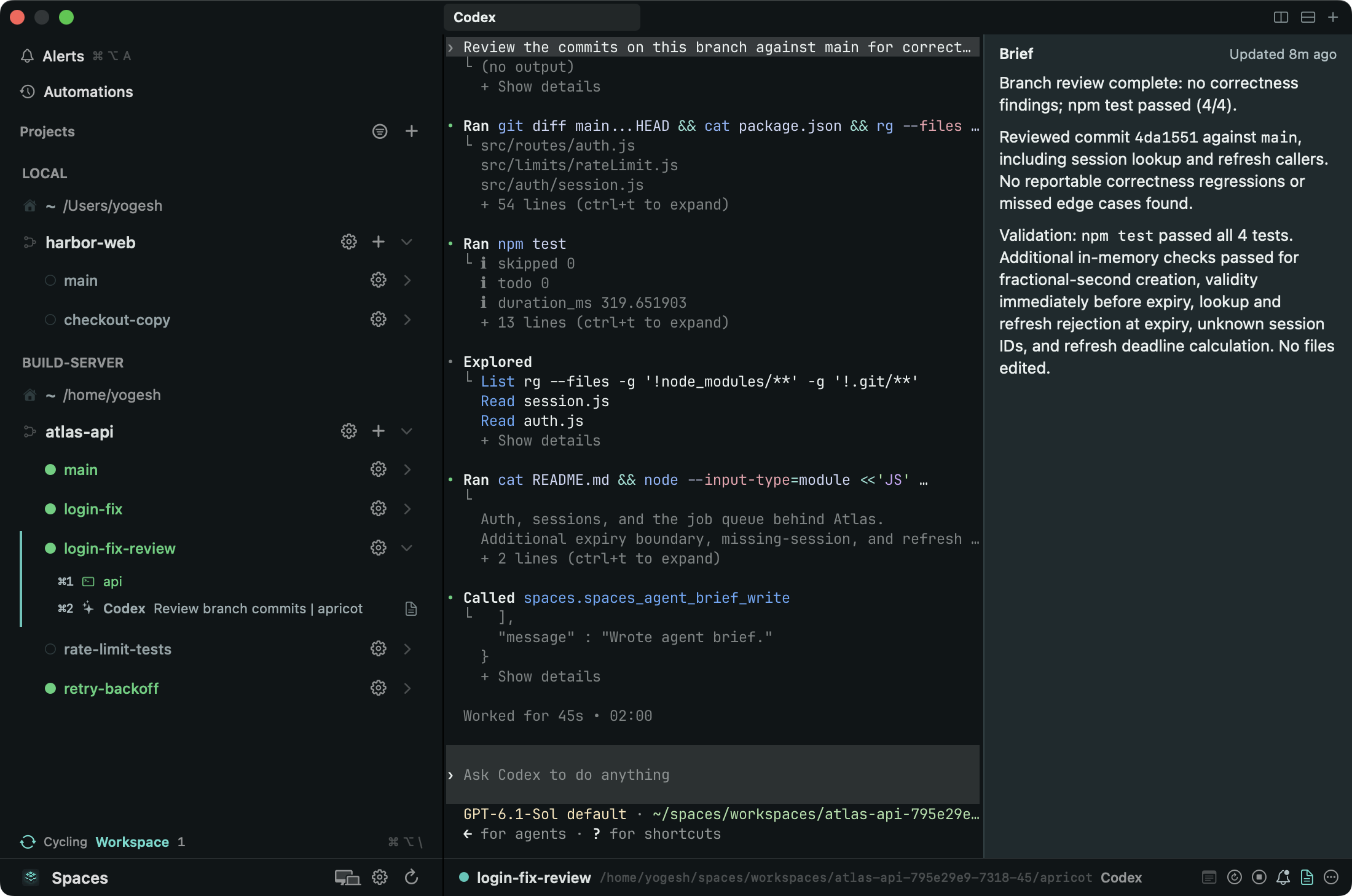 The Mac app showing Codex's terminal in the login-fix-review workspace on build-server, with its brief beside it reporting no correctness findings, and the lead's workspace under Local in the sidebar.