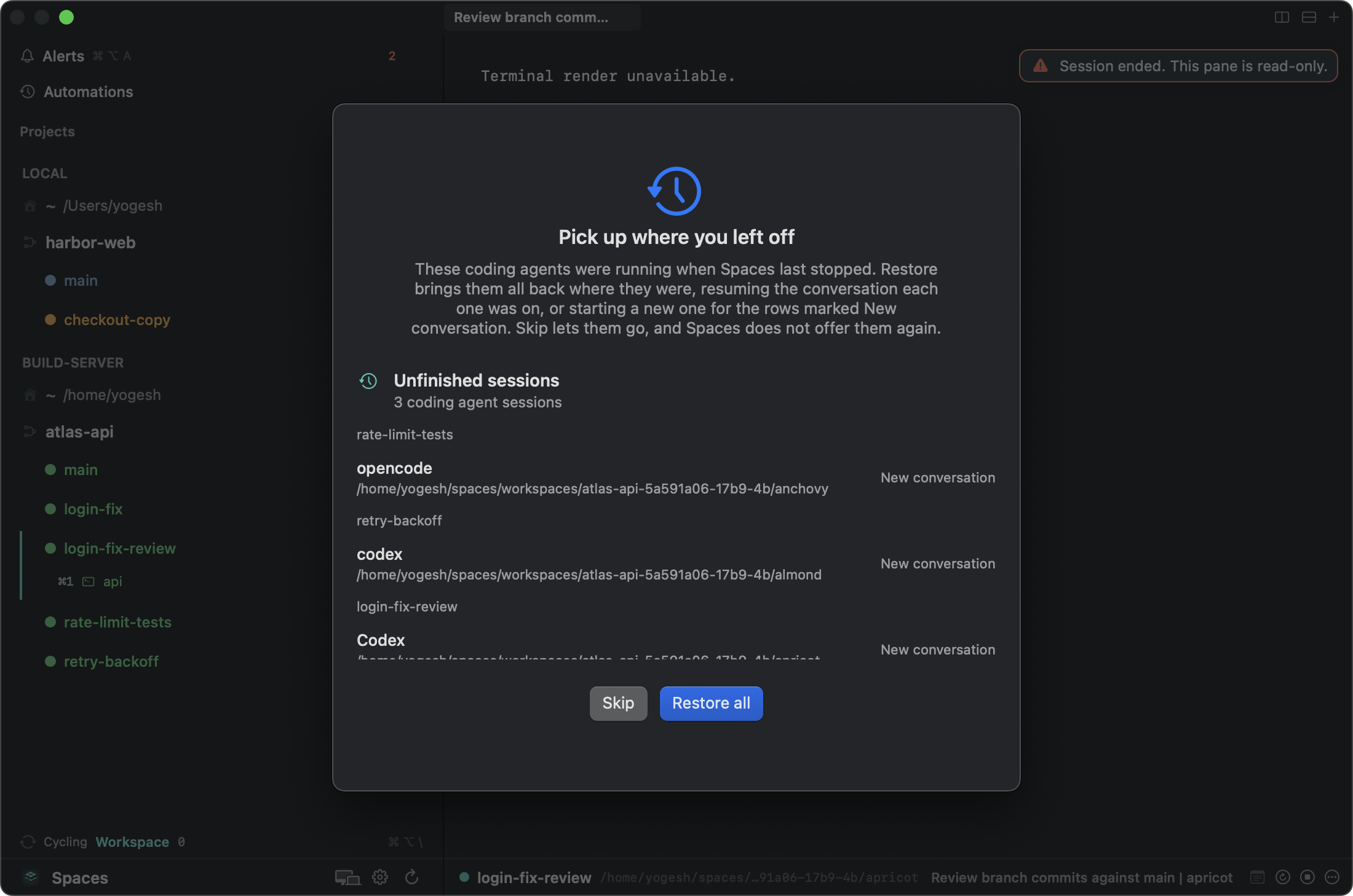 The Pick up where you left off sheet on the Mac listing opencode, codex, and Codex in three server workspaces, each marked New conversation, with Skip and Restore all buttons.